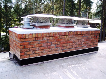 Chimney Leak Repair Services in Buckley